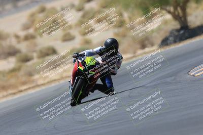 media/May-14-2023-SoCal Trackdays (Sun) [[024eb53b40]]/Turn 5 Tree of Life (1125am)/